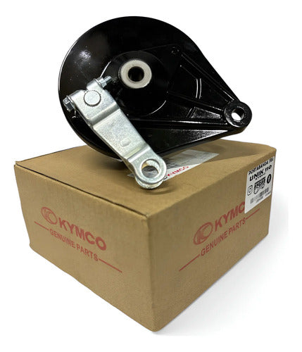 Portabanda Trasero Kymco Unik 110 Original