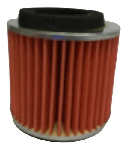 Filtro Aire Bws 125 Fi Bws 125x Calidad Premium