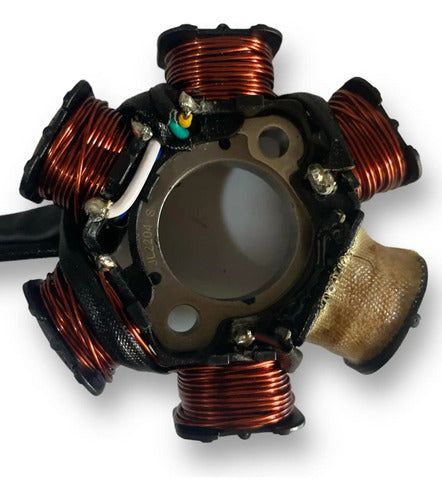 Plato De Bobinas Original Kymco Unik 110 Activ 110