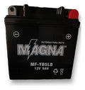 Bateria Moto Gel Fz16 Akt 110 Crypton Pulsar 135 Yb5l-bs