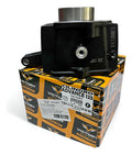 Cilindro Original Completo Victory Advance R 125 Flow 125