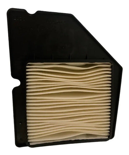 Filtro Aire Hayate 110 Calidad Premium
