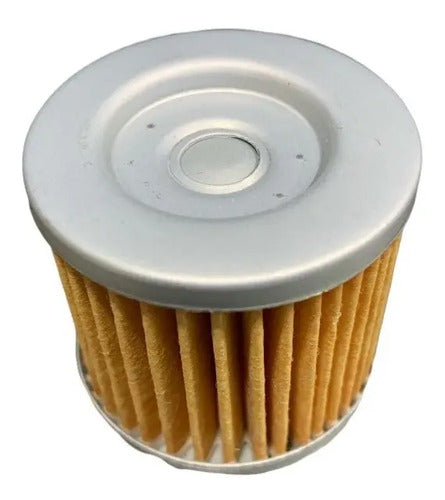 Filtro Aceite Gn 125 Apache Viva Motos Susuki X 2 Unidades