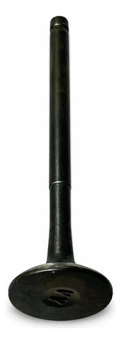 Valvula Escape Advance R 110 125 Victory Original (1 Und)