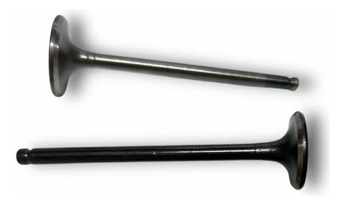 Valvulas Admision Y Escape Dynamic R 125 Pro Jet 4 Premium