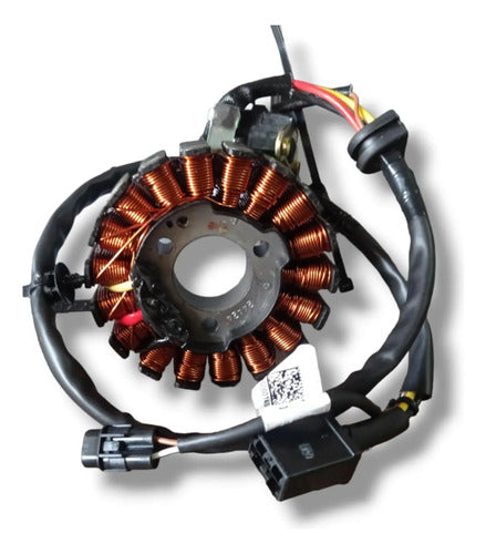 Plato De Bobinas Original Tvs Raider 125 Carburada N6060390