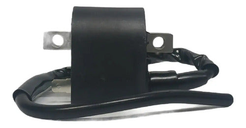 Bobina Alta Ax100 Ts 125 Fz 50 Calidad Premium