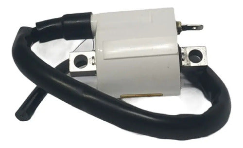Bobina Alta Boxer Ct 100 Calidad Premium