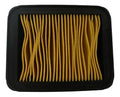 Filtro De Aire Original Para Apache 160 4v Y 200 Carburada