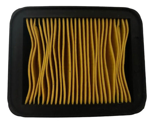 Filtro De Aire Original Para Apache 160 4v Y 200 Carburada
