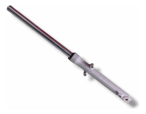 Suspension Completa Con Botella Boxer Ct100