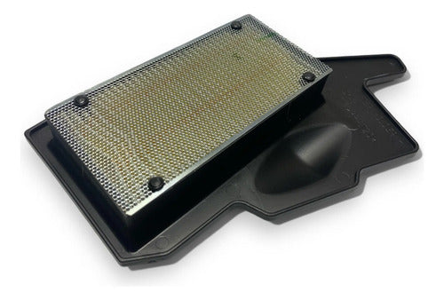 Filtro Aire Tvs Raider 125 Calidad Premium