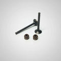 Valvulas Admision Y Escape Boxer Ct Boxer S Platino 100