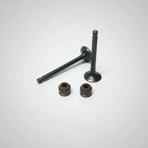 Valvulas Admision Y Escape Boxer Ct Boxer S Platino 100