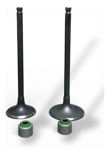 Valvulas Admision Y Escape Fz 2.0 Fzs Fi Szrr Xtz150 Premium